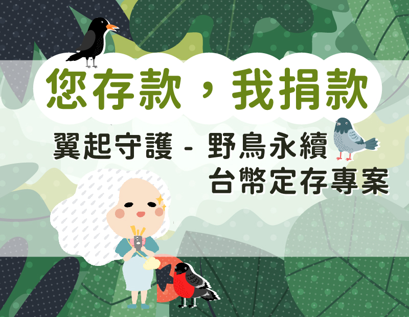 ./img/event/bird_800-620.jpg
